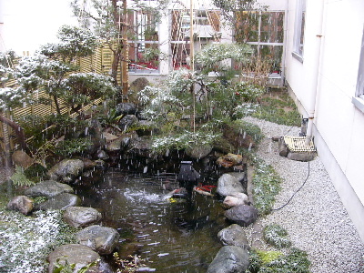 総湯の中庭。雪です。