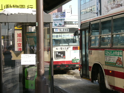 路線バスにも長い列。