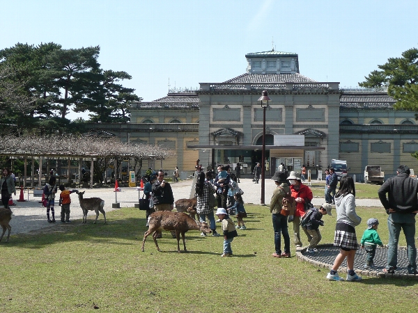 奈良国立博物館前。