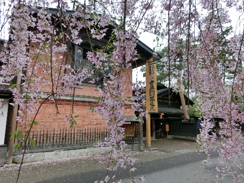 安藤醸造。きれいな桜でした。
